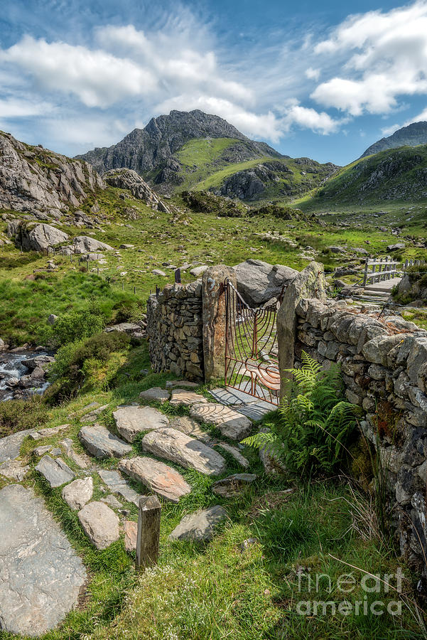 Snowdonia National Park Photograph - Decorative Iron Gate  by Adrian Evans