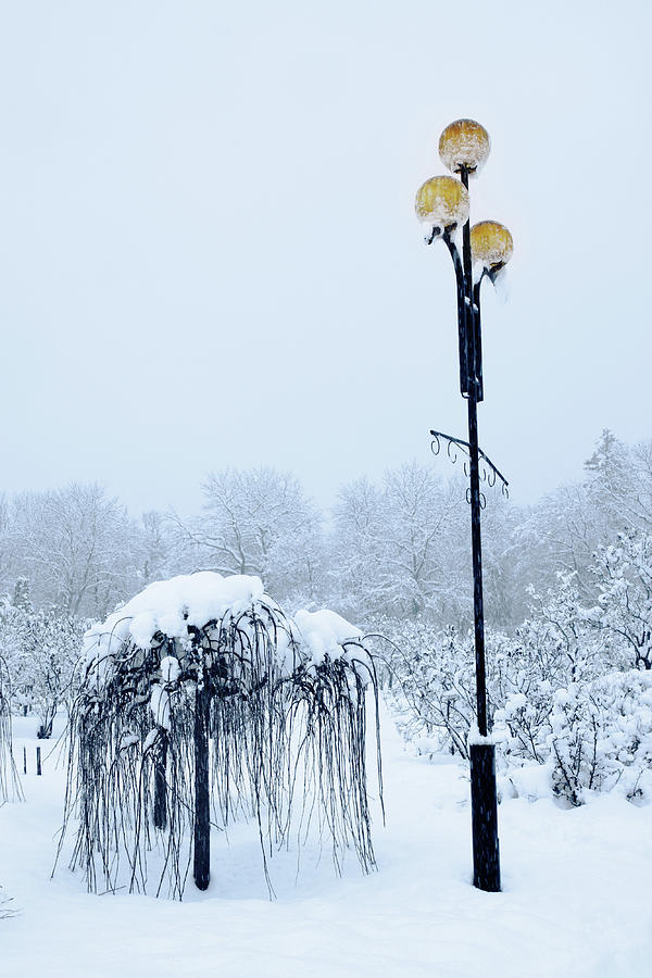decorative lanterns by Iuliia Malivanchuk Photograph