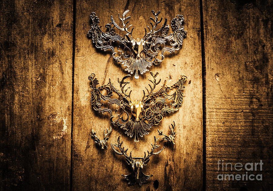 Decorative moose emblems Photograph by Jorgo Photography