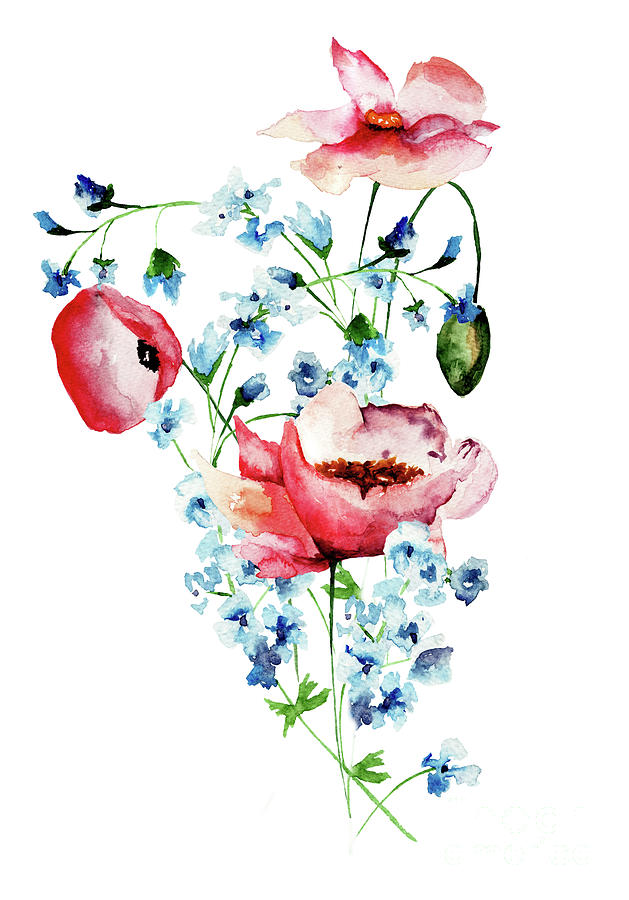 Decorative wild flowers Painting by Regina Jershova