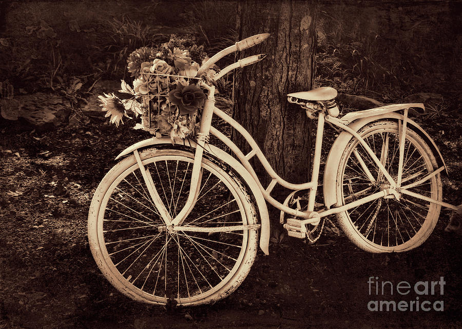 Dedication Bicycle in Sepia Photograph by Janice Pariza