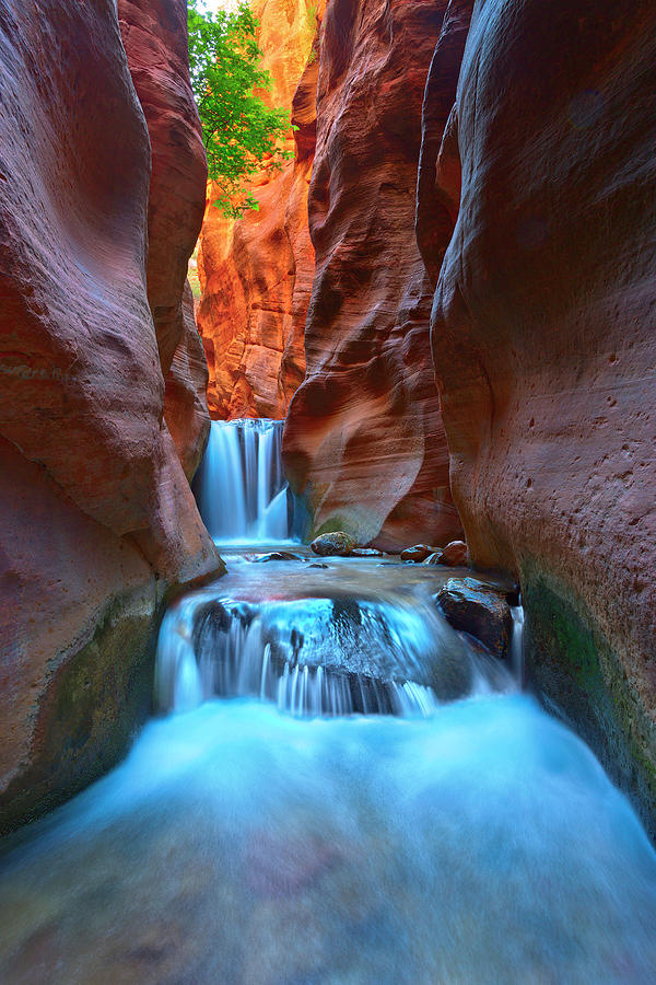 Zion National Park Photograph - Deep and Narrow by Brian Knott Photography