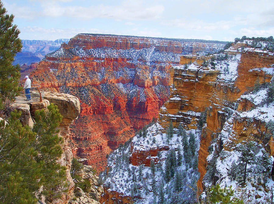 Deep and Wide Grand Canyon  Photograph by Roberta Byram