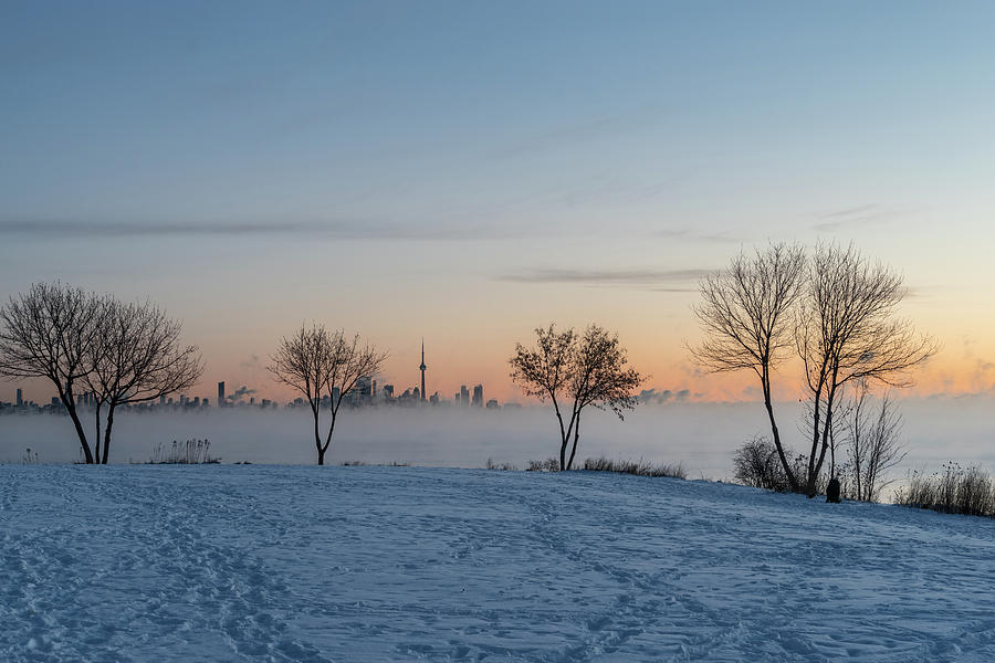 Deep Arctic Freeze Dawn in Toronto Photograph by Georgia Mizuleva