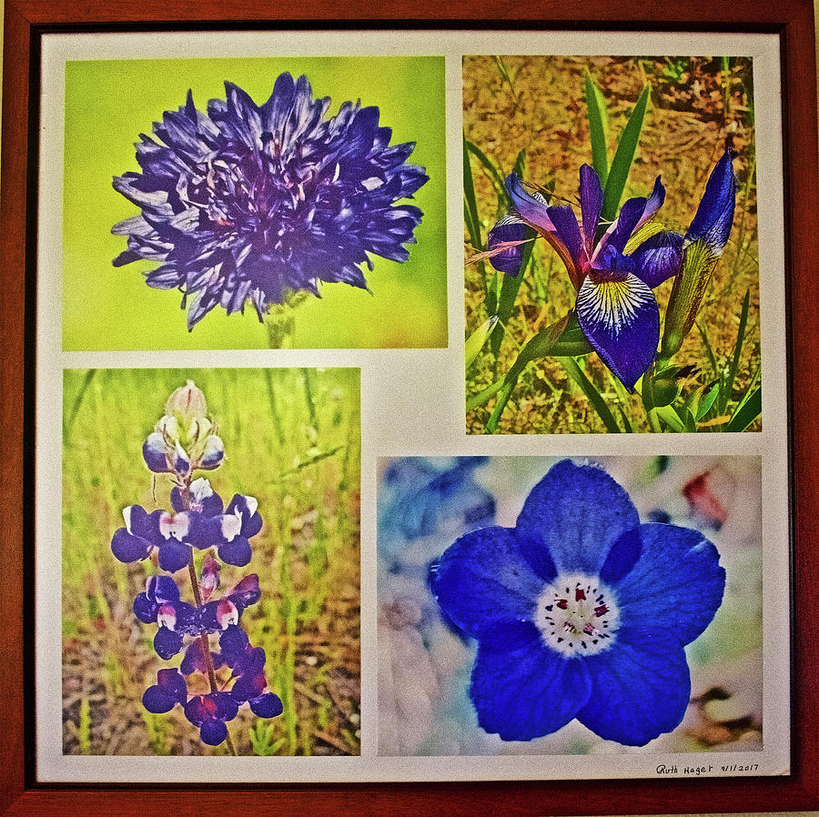 Deep Blue Flowers Photo Assemblage Photograph by Ruth Hager