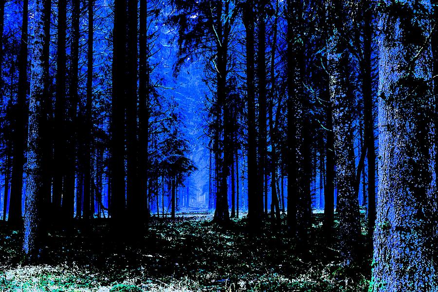 Deep Blue Forest 2 Painting by Celestial Images - Fine Art America