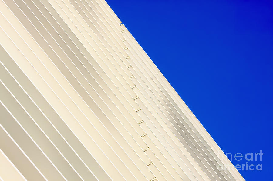 Deep Blue Sky And Office Building Wall Photograph