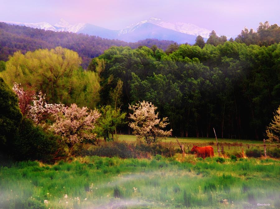 Deep Breath of Spring El Valle New Mexico Photograph by Anastasia Savage Ealy