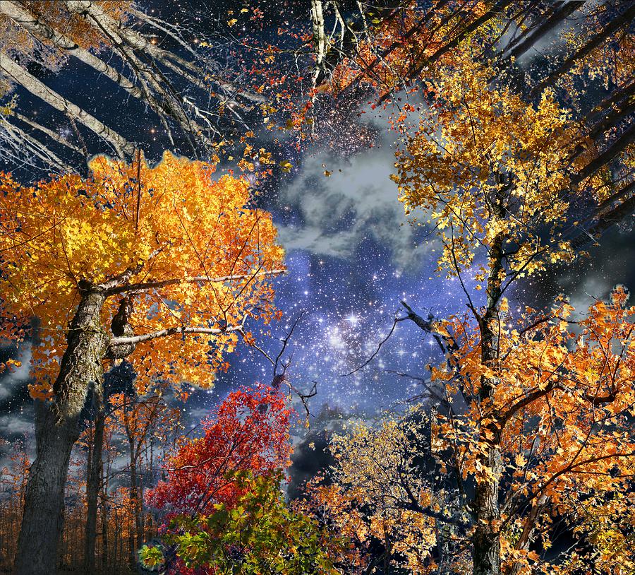 Deep Space Photograph - Deep Canopy by Dave Martsolf Deep Space Photograph - Deep Canopy by Dave Martsolf