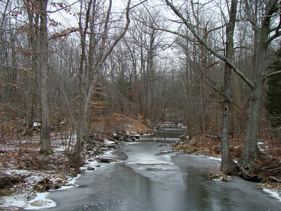 Deep Creek - Green Lane - PA Photograph by Carol Senske - Fine Art America