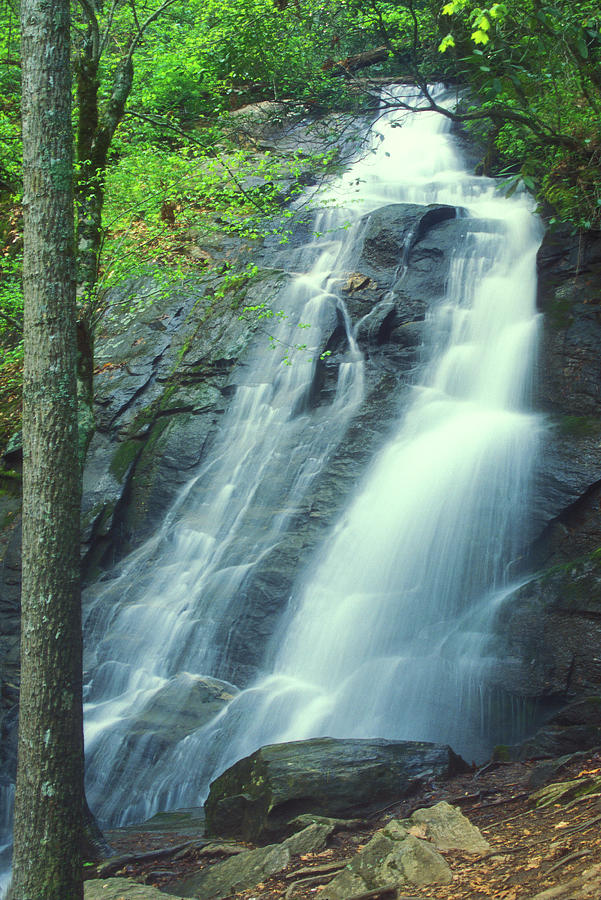 Deep Creek Falls Smoky Mountains Photograph by John Burk