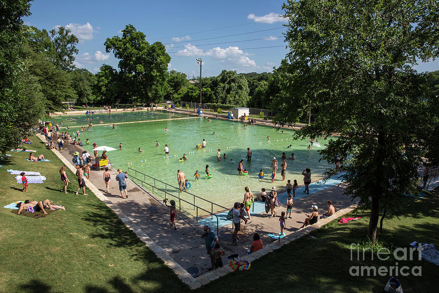 Spring Photograph - Deep Eddy Pool is a family friendly, family fun, public swimming pool in Austin, Texas by Dan Herron