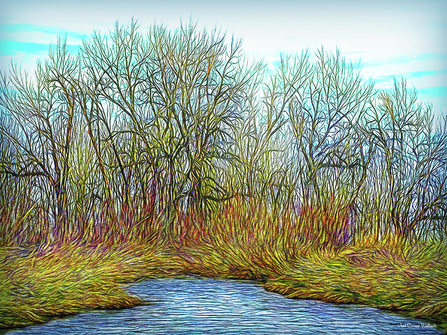 Deep Forest River Digital Art by Joel Bruce Wallach