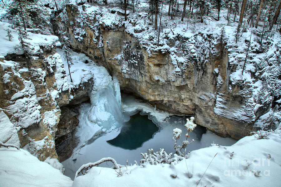 Deep Freeze At Beauty Creek Photograph by Adam Jewell