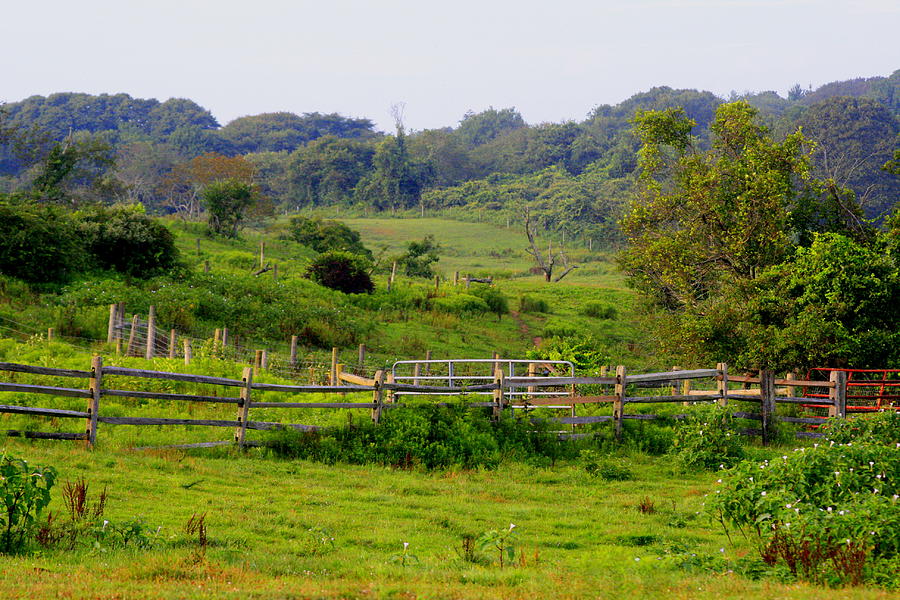 Deep Hollow Ranch Montauk Photograph by Christopher J Kirby