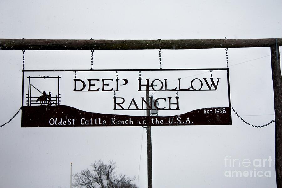 Telfer Photograph - Deep Hollow Ranch Oldest Cattle Ranch In The Usa by John Telfer