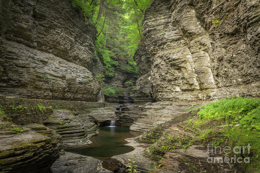 Waterfall Photograph - Deep In The Gorge  by Michael Ver Sprill