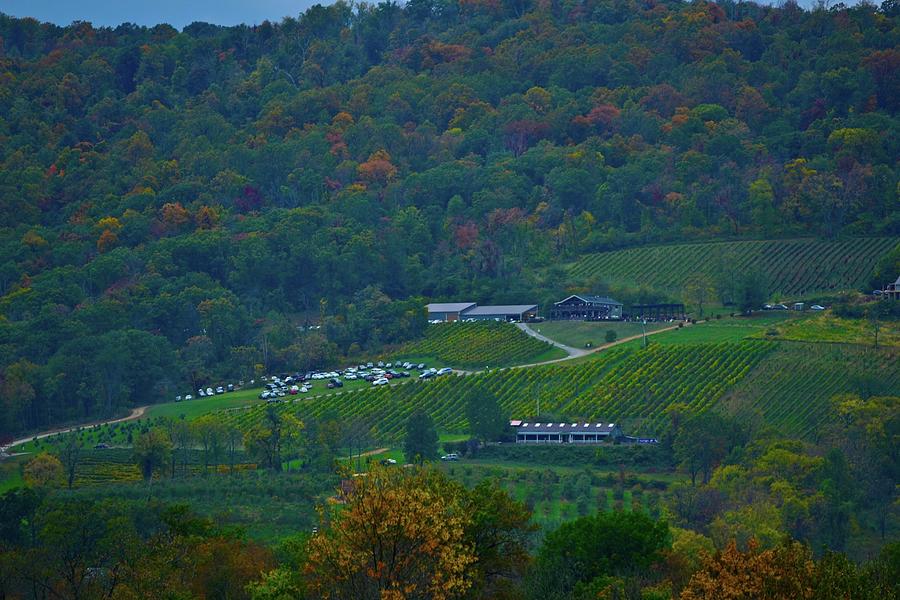 Deep In The Hills Of Virginia Photograph by Tracy Rice Frame Of Mind