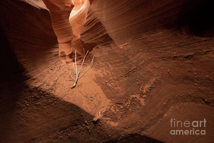 Deep Inside Antelope Canyon Photograph by Jim DeLillo