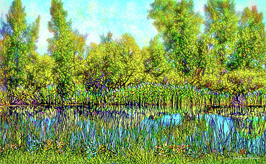 Deep Lake Reflections - Colorado Pond Digital Art by Joel Bruce Wallach