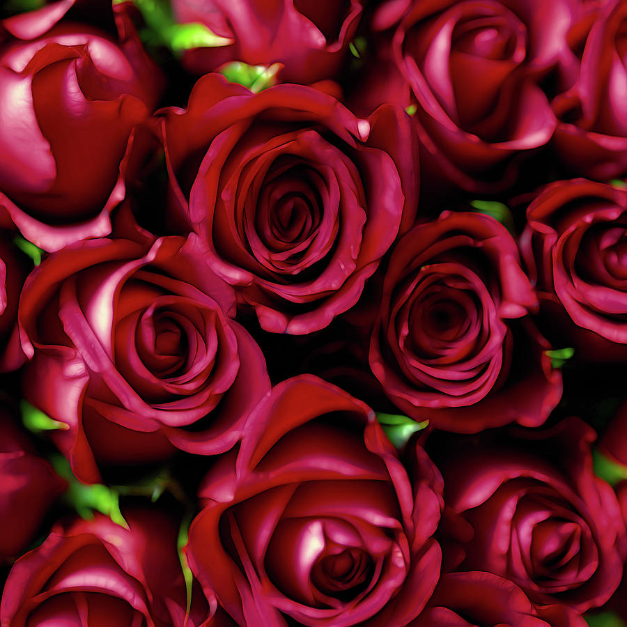 Red Roses Digital Art - Deep Passion Rose Art by Georgiana Romanovna