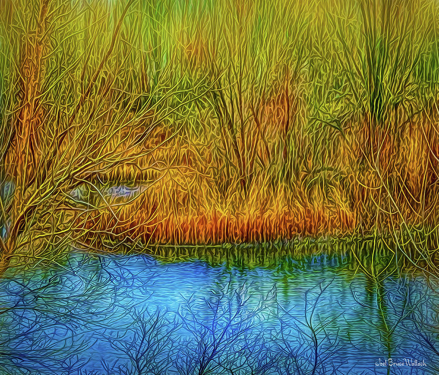 Deep Pond Contemplations Digital Art by Joel Bruce Wallach