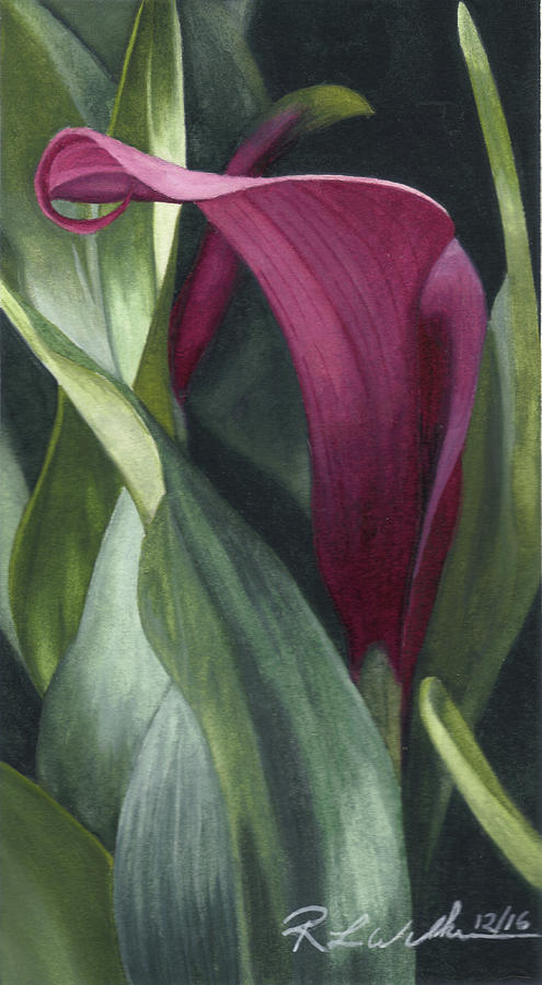 Deep Purple Lily Painting by Ronald Wilkie