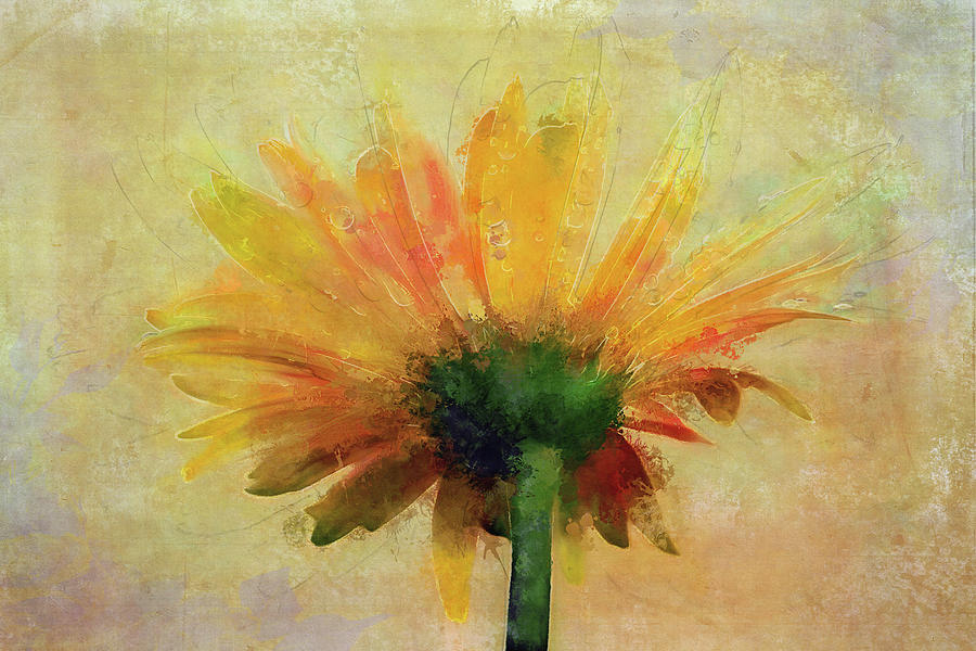Deep Sun Daisy Digital Art by Terry Davis