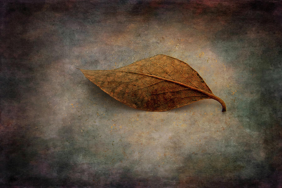 Deep Texture Leaf Digital Art by Terry Davis - Fine Art America