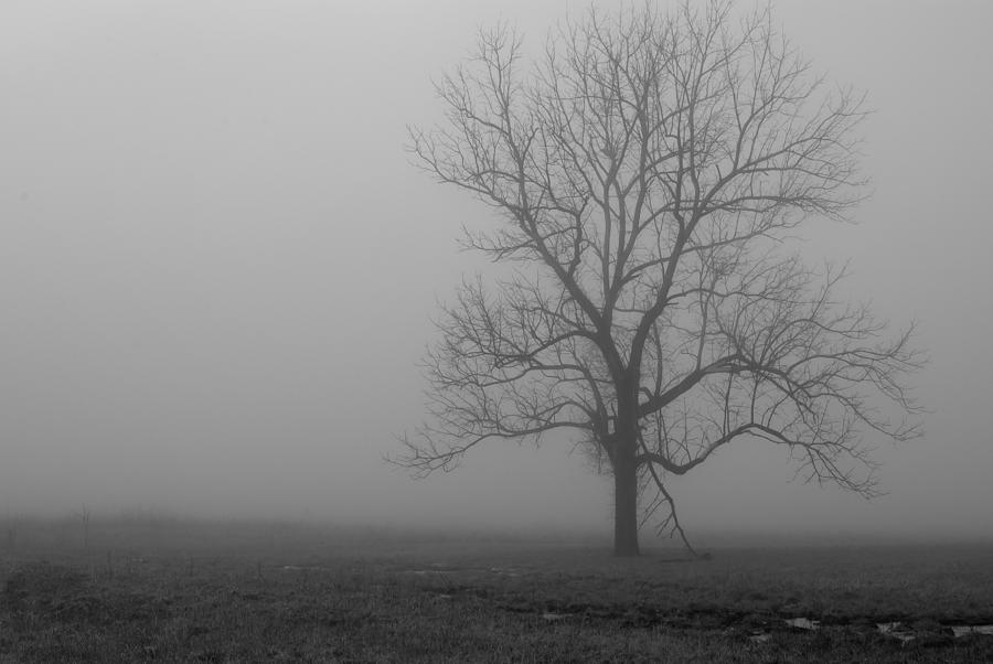 Deep Thoughts Photograph by Donna Collins - Fine Art America