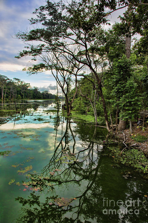 Deep Tones Moat/Lake that Surrounds Angkor Wat Cambodia Color Photograph by Chuck Kuhn