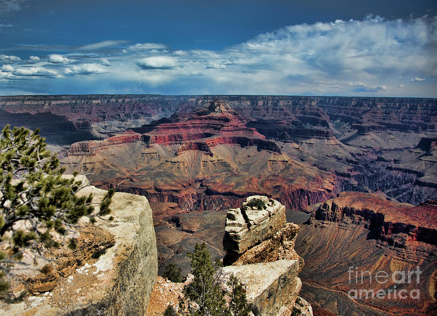 Deep tones of Grand Canyon  Photograph by Chuck Kuhn