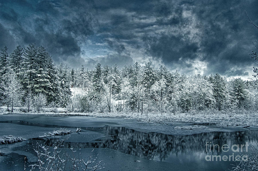 Deep Winter Photograph by Mim White