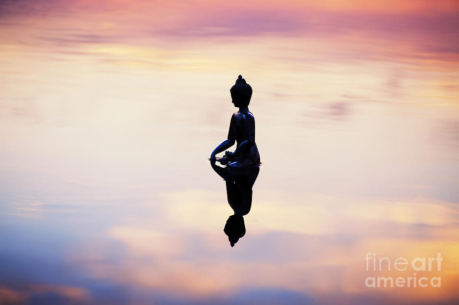 Buddha Photograph - Buddha Within by Tim Gainey