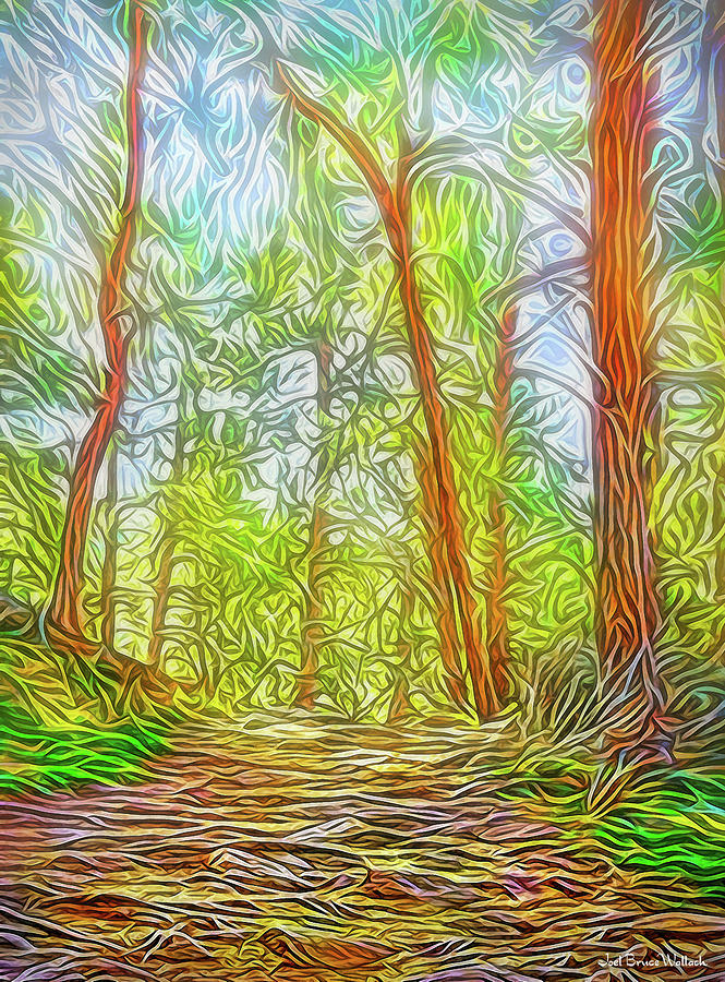 Deep Woods Dreamtime Digital Art by Joel Bruce Wallach