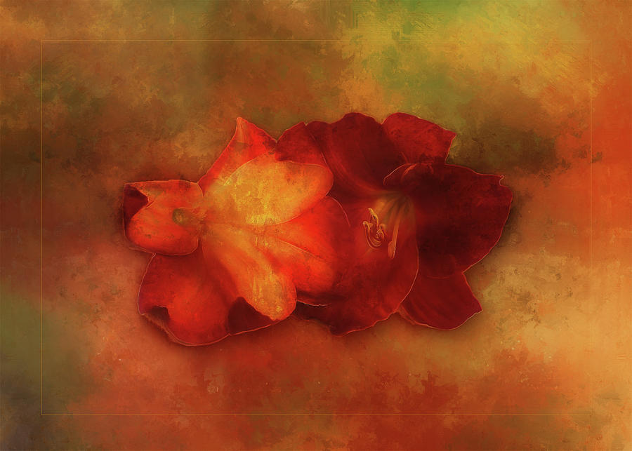 Deeply Red Day Lilies Mixed Media by Terry Davis