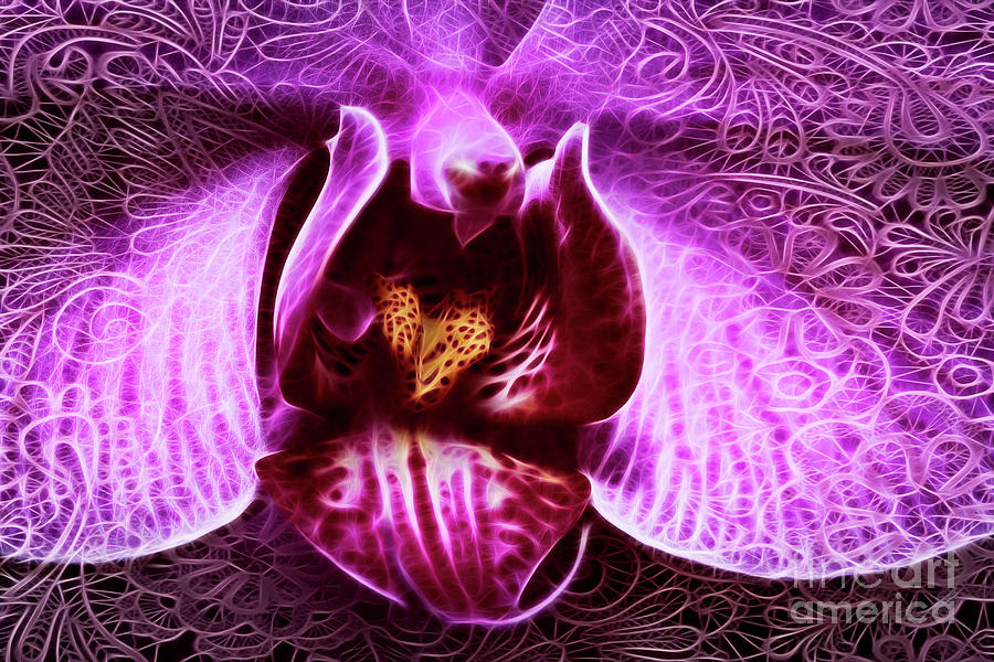 Deeply Textured Orchid Digital Art