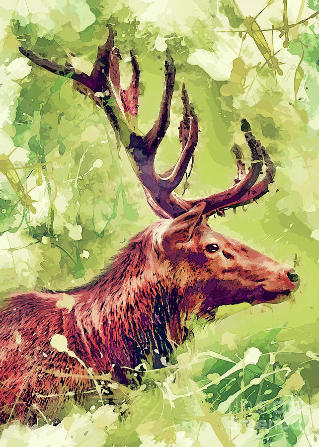 Deer Art Digital Art
