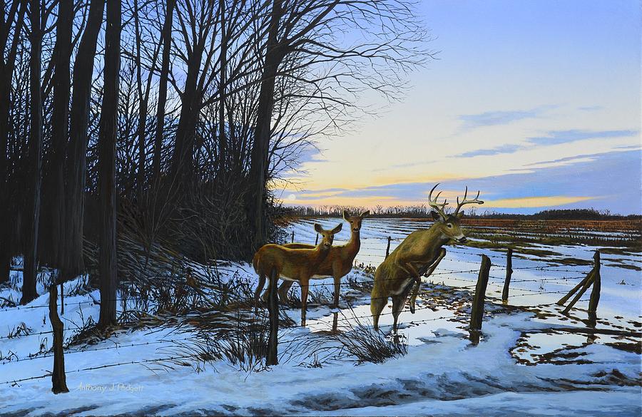 Deer at Fence Line Painting by Anthony J Padgett