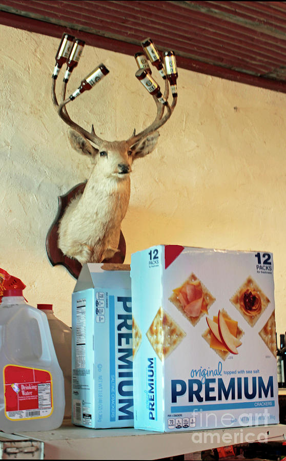 Cracker Photograph - Deer At Salt Lick by Joe Pratt