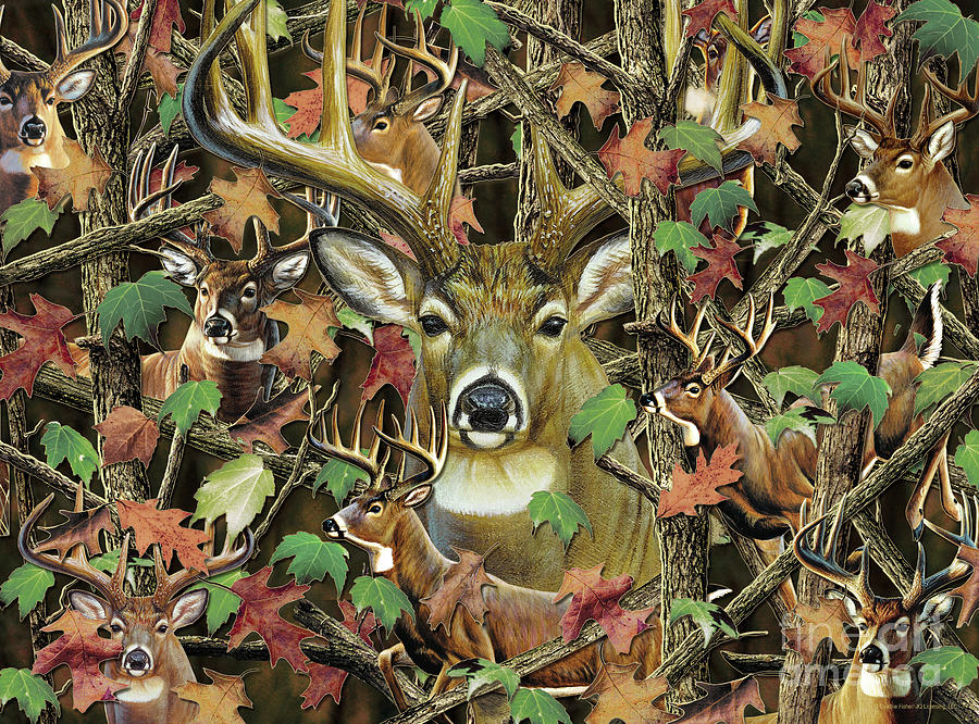 Deer Camo Painting by JQ Licensing  Cynthie Fisher