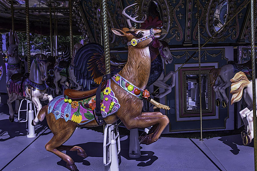 Deer Carrousel Ride Photograph by Garry Gay