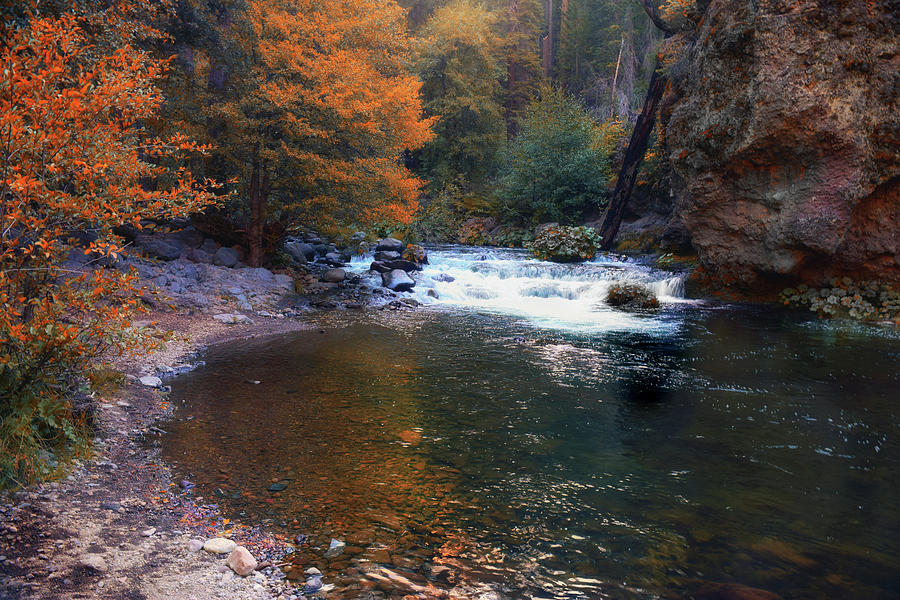 Deer Creek In Autumn Photograph by Frank Wilson