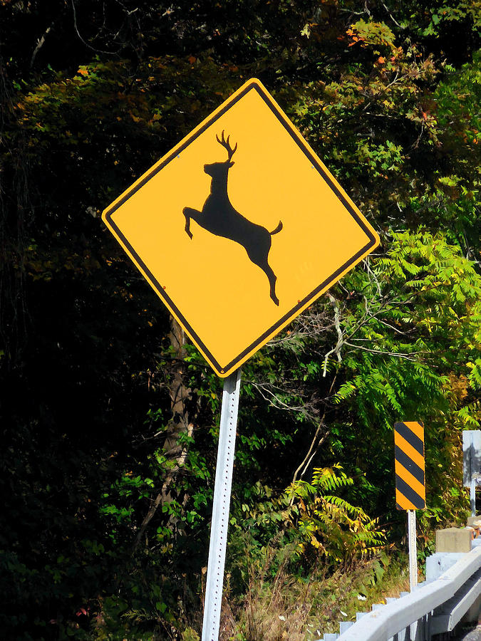 Deer crossing sign 1 Painting by Jeelan Clark