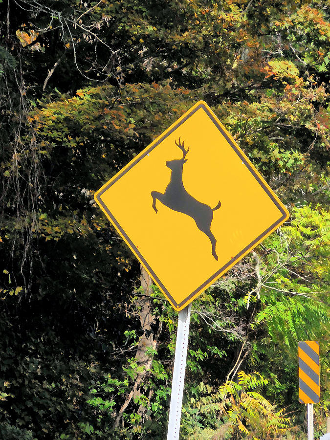 Deer crossing sign 2 Painting by Jeelan Clark