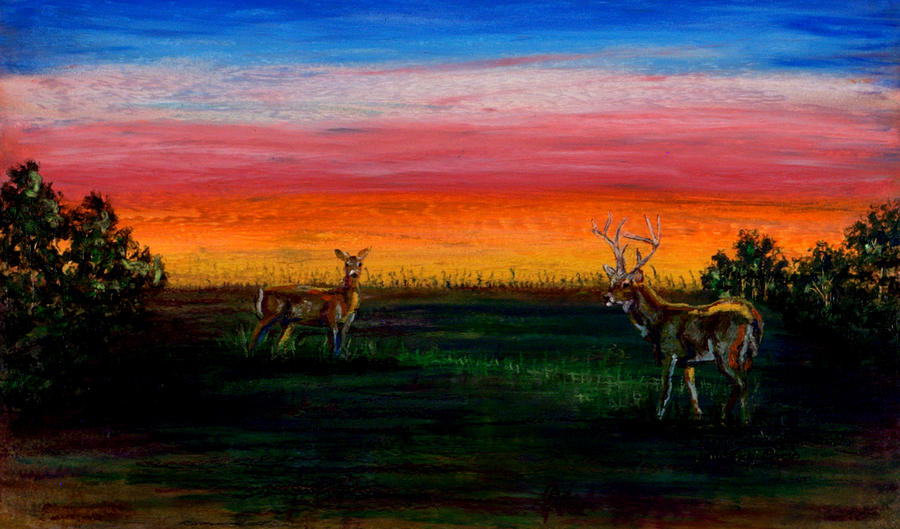 Deer Dawn Pastel by Laurie Tietjen