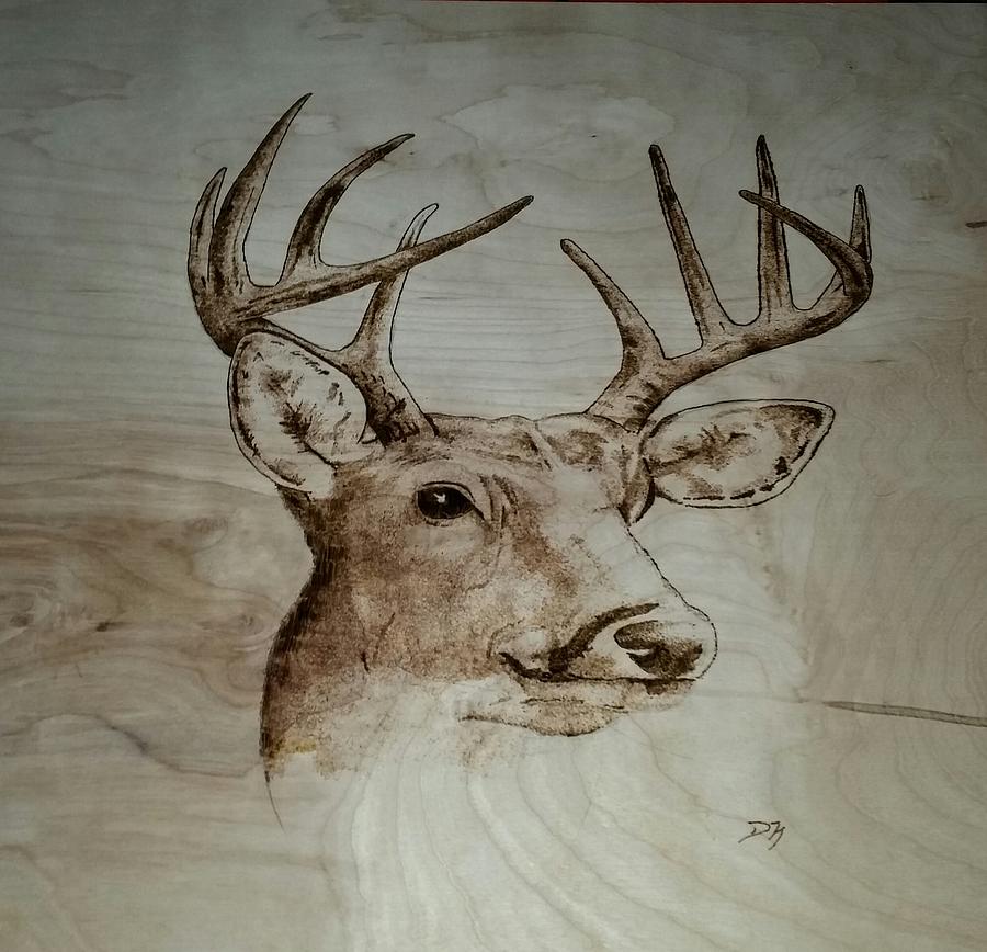 Deer Pyrography By Derek Neil