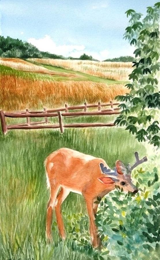 Deer eating Leaves Painting by Judy Swerlick