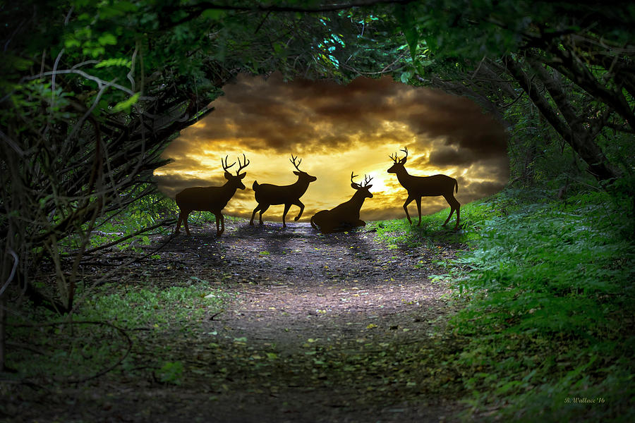 Deer Fantasy Photograph by Brian Wallace