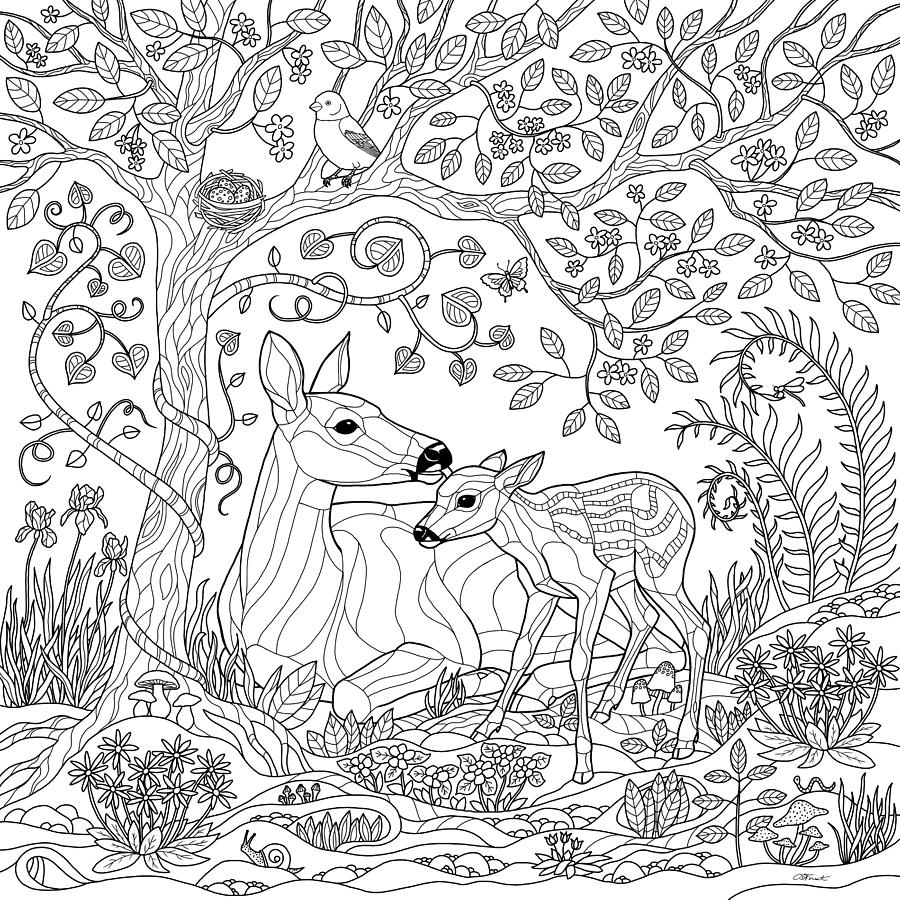 Coloring Pages Set of 4 — Forest Culture Design